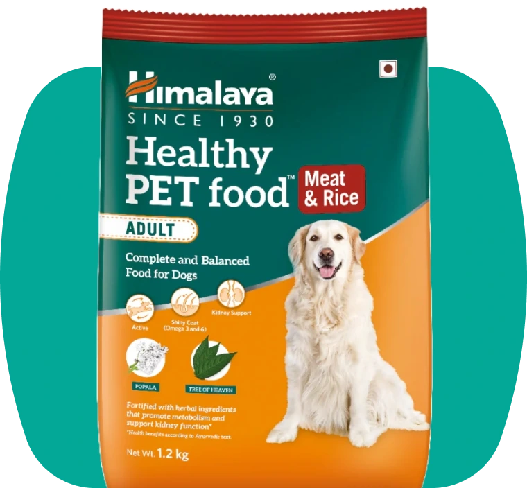Himalaya