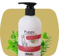 Wahl