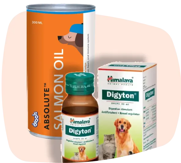 store Supplements